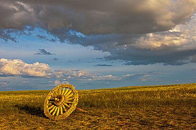 腾讯首次披露行业大模型进展：不追求参数高，希望成本预算可控